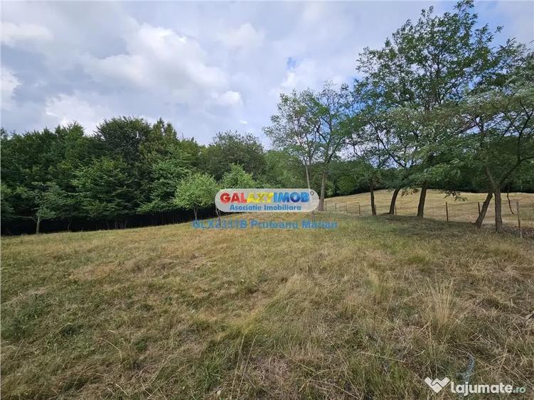 Teren de 2700 mp, în Curtea de Argeș