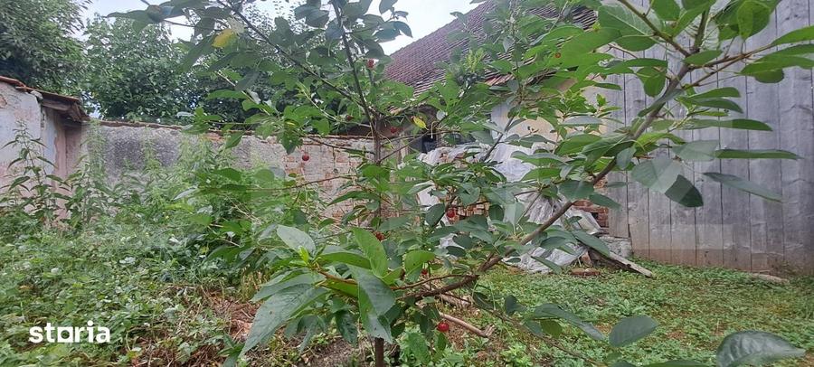 Proprietate cu farmec rural in Beclean, aproape de Fagaras - Beclean - 8