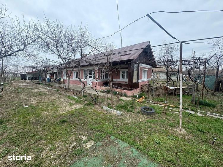 Teren 1300 mp + Casa din caramida | Merii Petchii, Ilfov - 8