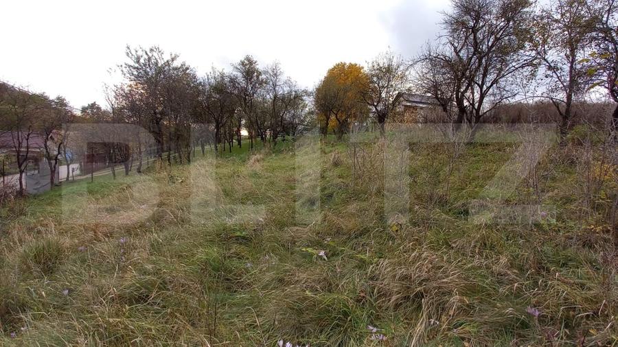 Teren Construcții intravilan de 1651 mp, în Ciurila