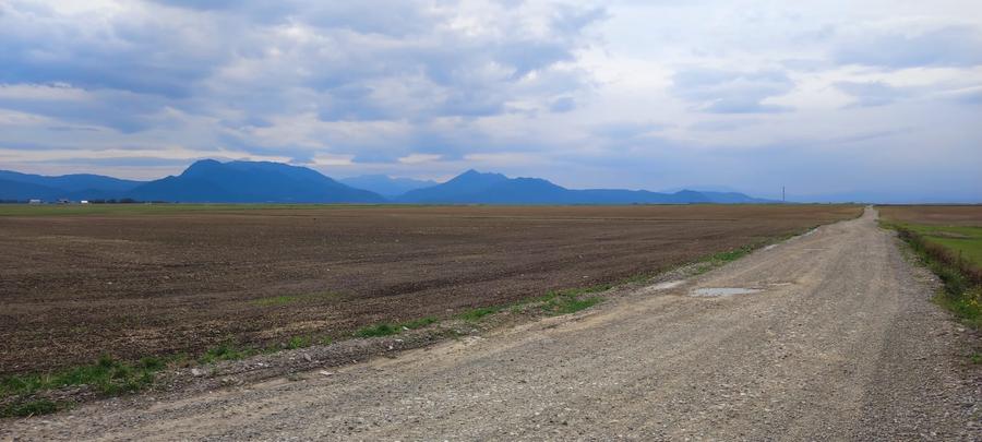 Teren agricol extravilan de 10000 mp, în Cărpiniș