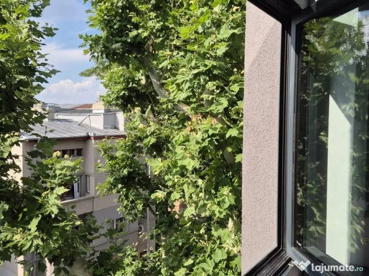 Casă cu 8 camere cu Teren 200 Mp în Parcul Carol