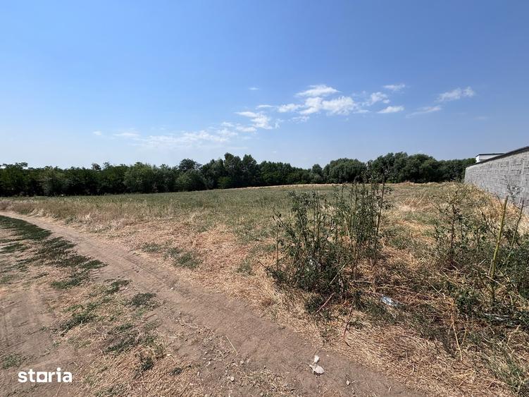 Teren de 2220 mp, în Coșoveni