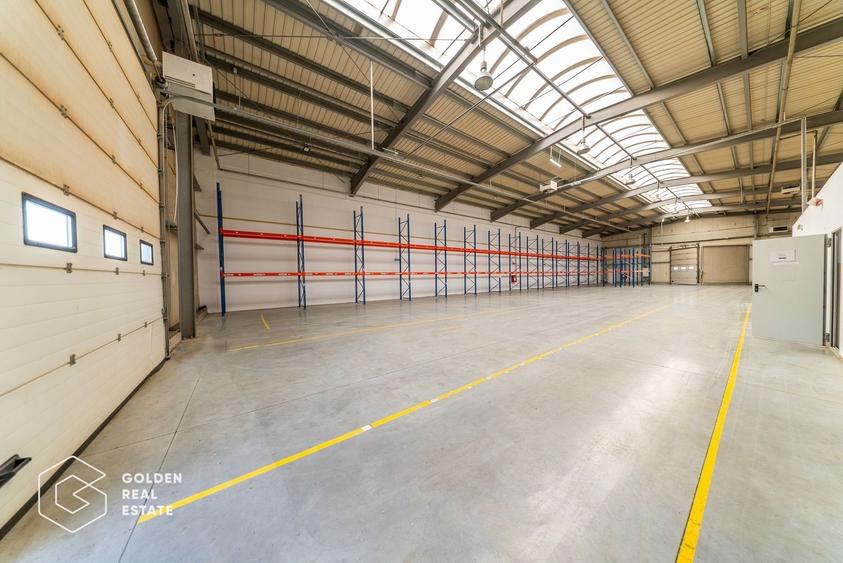 Spațiu industrial, de 704.71997070313 mp, în Aradul Nou