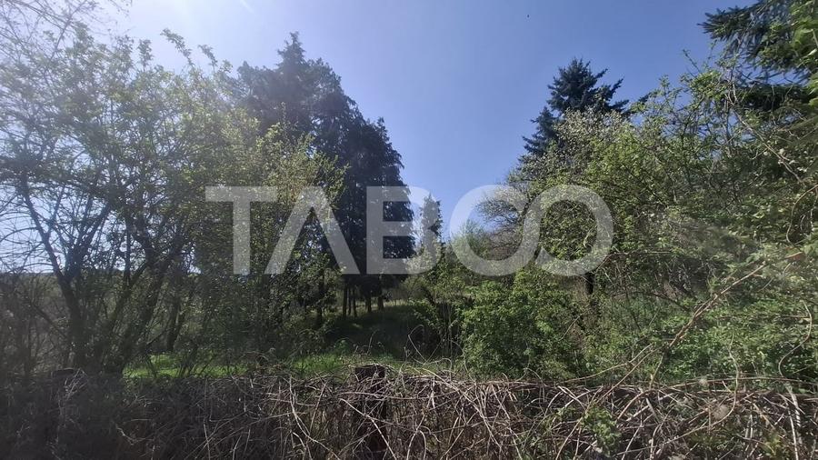 Teren Construcții intravilan de 2700 mp, în Slimnic