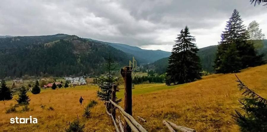 Teren de 32522 mp, în Pojorâta