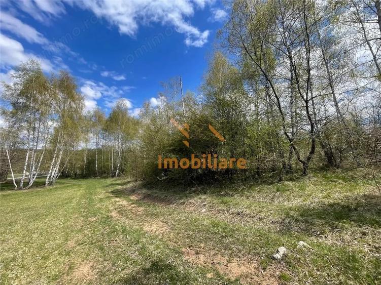 Teren de 103000 mp, în Bălnaca