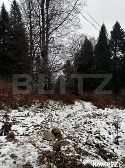 Teren de 4000 mp, în Calea Moroieni