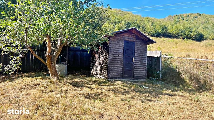 Cabana de vacan?a P+M cu 1.941 mp teren Gura Raului, Marajdie - 4