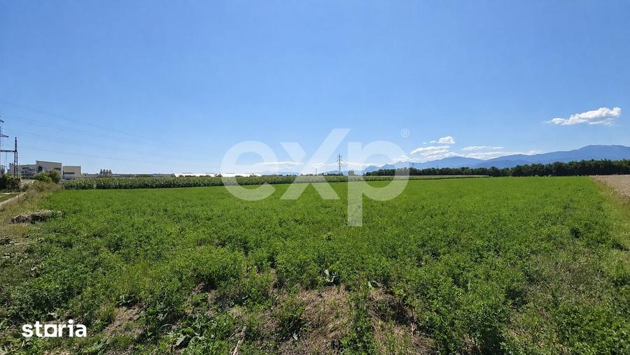 Teren de 17204 mp, în Stupini