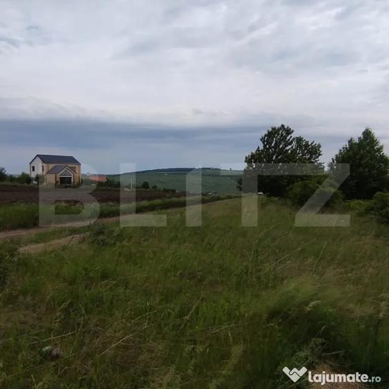 Teren de vanzare in Valea Lupului Strada Fantani | 5 - 1