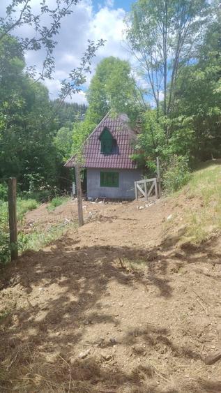Casă cu 2 camere în Muntele Băișorii