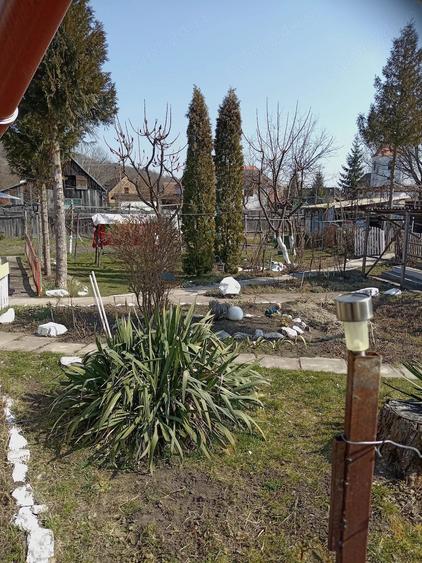 Casă cu 2 camere cu Teren 1200 Mp în Central