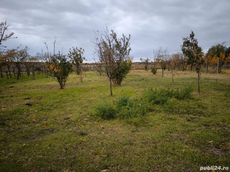 Casă în Central