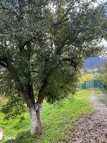 Casă cu 6 camere cu Teren 439 Mp în Petros