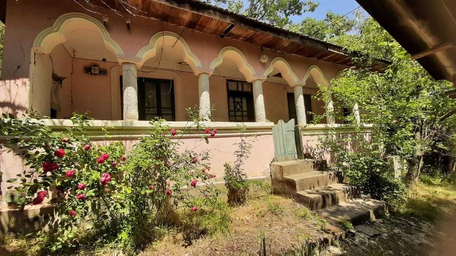 Casă cu 2 camere în Cleanov