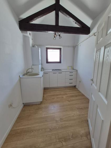 Duplex cu 9 camere cu Teren 100 Mp în Dorobanți