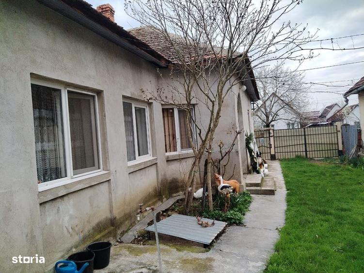 Casă cu 3 camere în Șepreuș