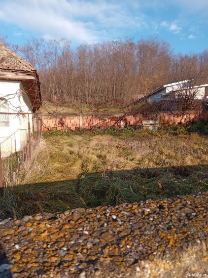 Casă cu 2 camere cu Teren 3754 Mp în Costișa