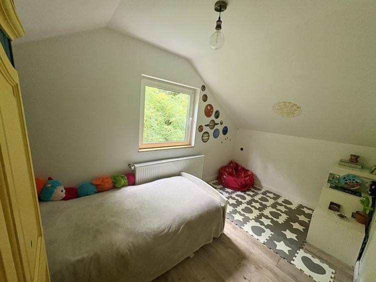 Casa in Padure pe Valea Borcutului 5 min de oras | Direct Proprietar - 8