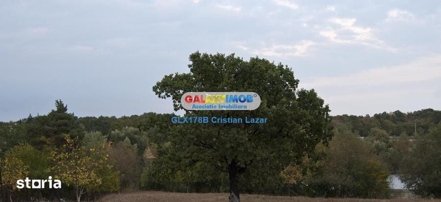 Teren de 14000 mp, în Moara Vlăsiei
