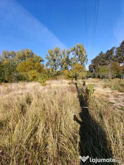 Teren în Valea Ursului