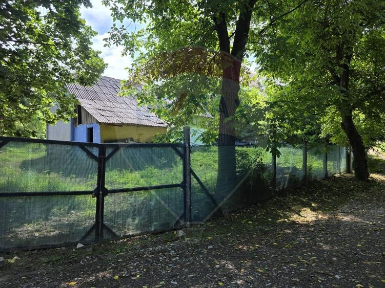 Casă individuală cu 4 camere cu Teren 3686 Mp în Buciumi