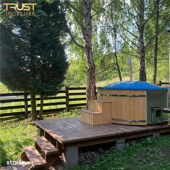 Cabana la munte, Colibita, jacuzzi, foisor - 19