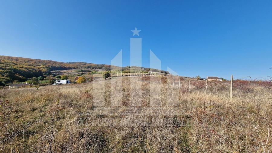 Teren intravilan | De vanzare | 3900 mp | 17 ml deschidere | Cetate
