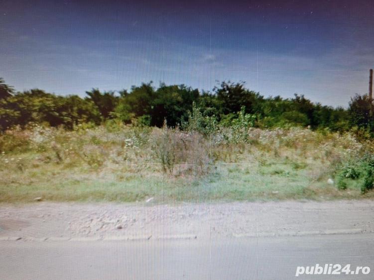 Teren de 5200 mp, în Bereasca