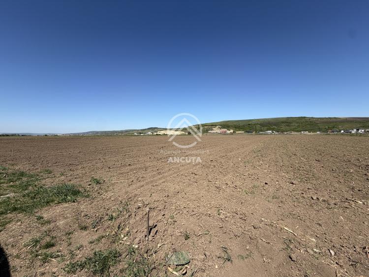 Teren extravilan de 2900 mp, în Sânnicoară