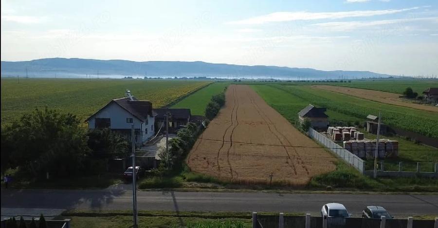 Teren de 5000 mp, în Central