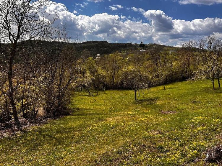 Teren de 2350 mp, în Surani