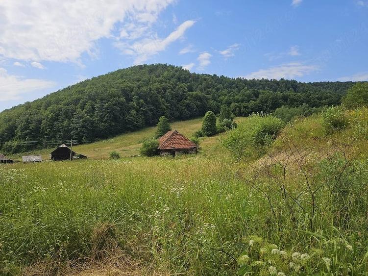 Teren de 5500 mp, în Hurez