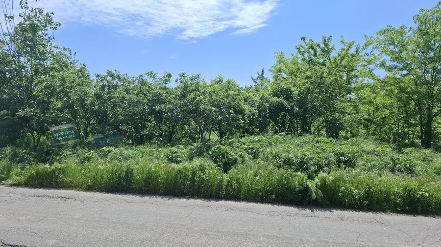 Teren Construcții intravilan de 2720 mp, în Poșta