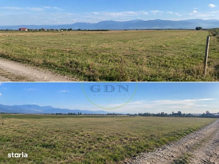 TEREN EXTRAVILAN 4.700 MP AVrig, langa padure | 55.000 - 2