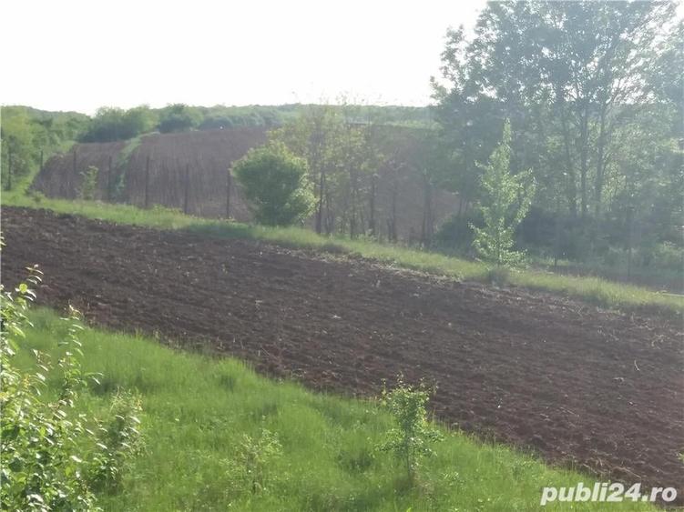 Casă cu 6 camere cu Teren 5000 Mp în Baldovinești