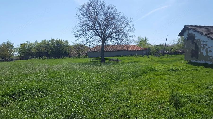 Teren de 5000 mp, în Ceamurlia de Sus
