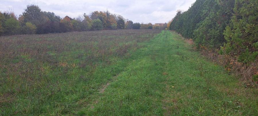 Teren Construcții intravilan de 20000 mp, în Siliștea Snagovului
