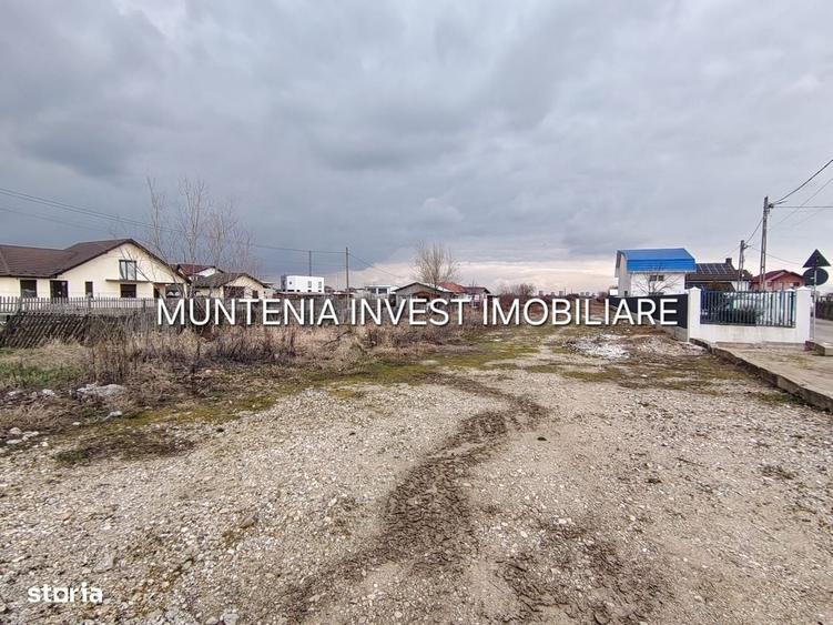 Spațiu comercial, în Bradu