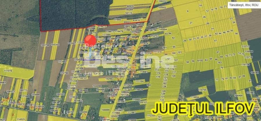 Teren agricol intravilan de 2515 mp, în Tâncăbești