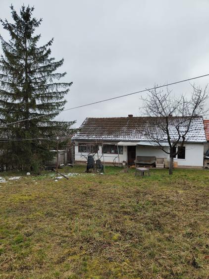 Casă cu 3 camere în Cetariu