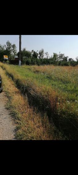 Teren Construcții intravilan de 3450 mp, în Căldăraru