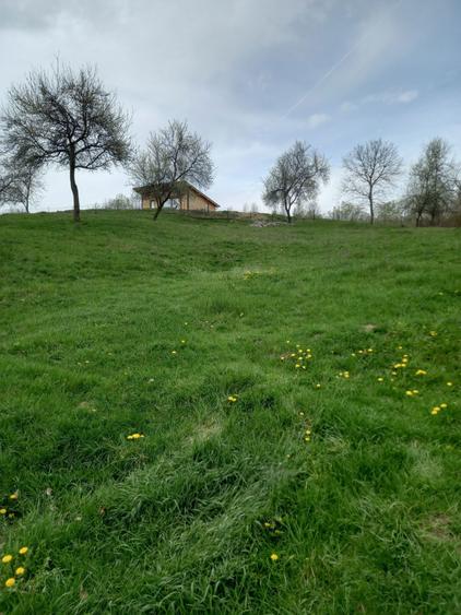 Teren de 3000 mp, în Căpățânenii Pământeni