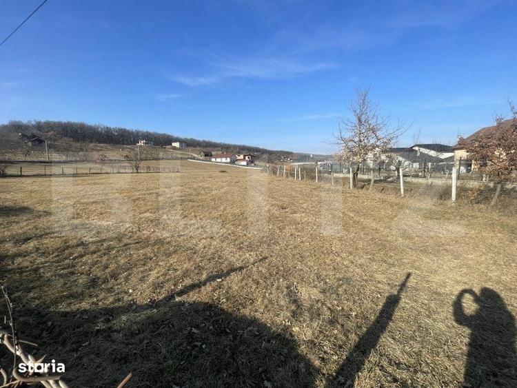 Teren intravilan de vanzare, 742 mp, zona Valea Rusului - 2