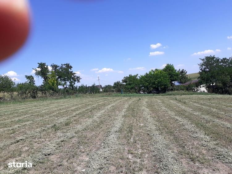 Teren de 8700 mp, în Belciugatele