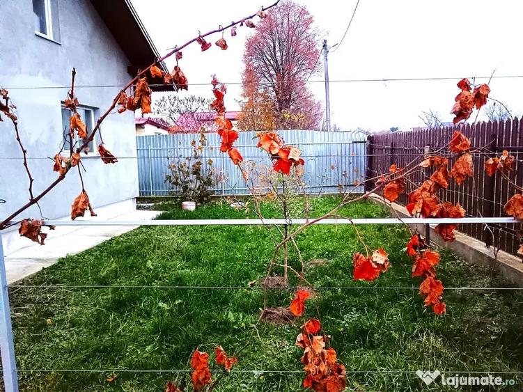 Casă cu 2 camere cu Teren 1290 Mp în Mitocu Dragomirnei