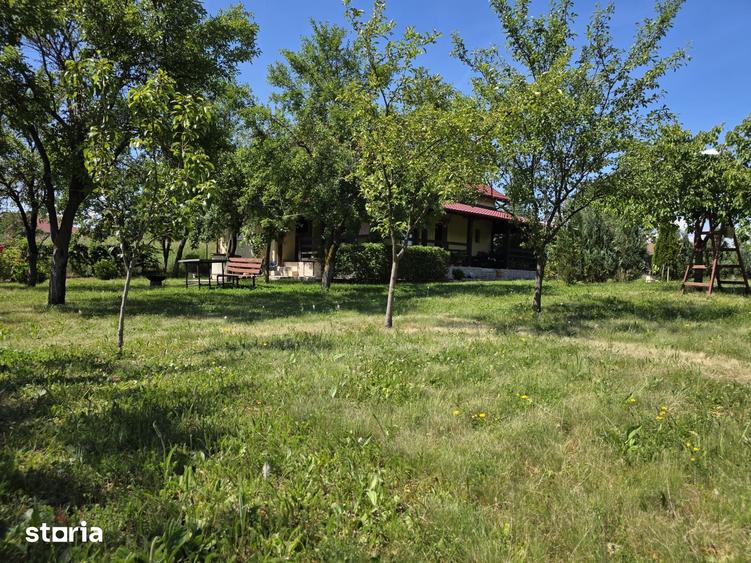 Casă cu 4 camere cu Teren 5095 Mp în Șoimuș