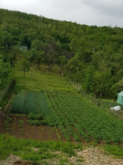 Casă cu 4 camere în Valea