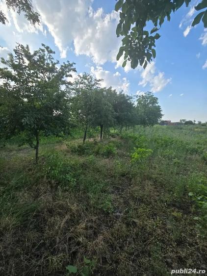 Teren de 2300 mp, în Petrești